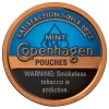 Copenhagen Mint Pouches