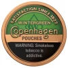 Copenhagen Wintergreen Pouches